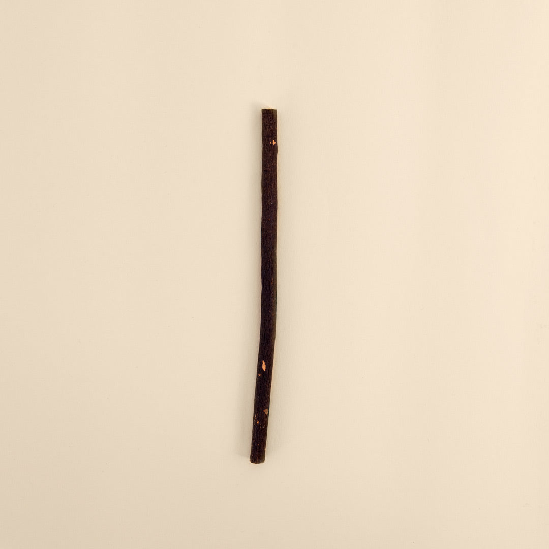 Siwak Noir - Olive Siwak with holder