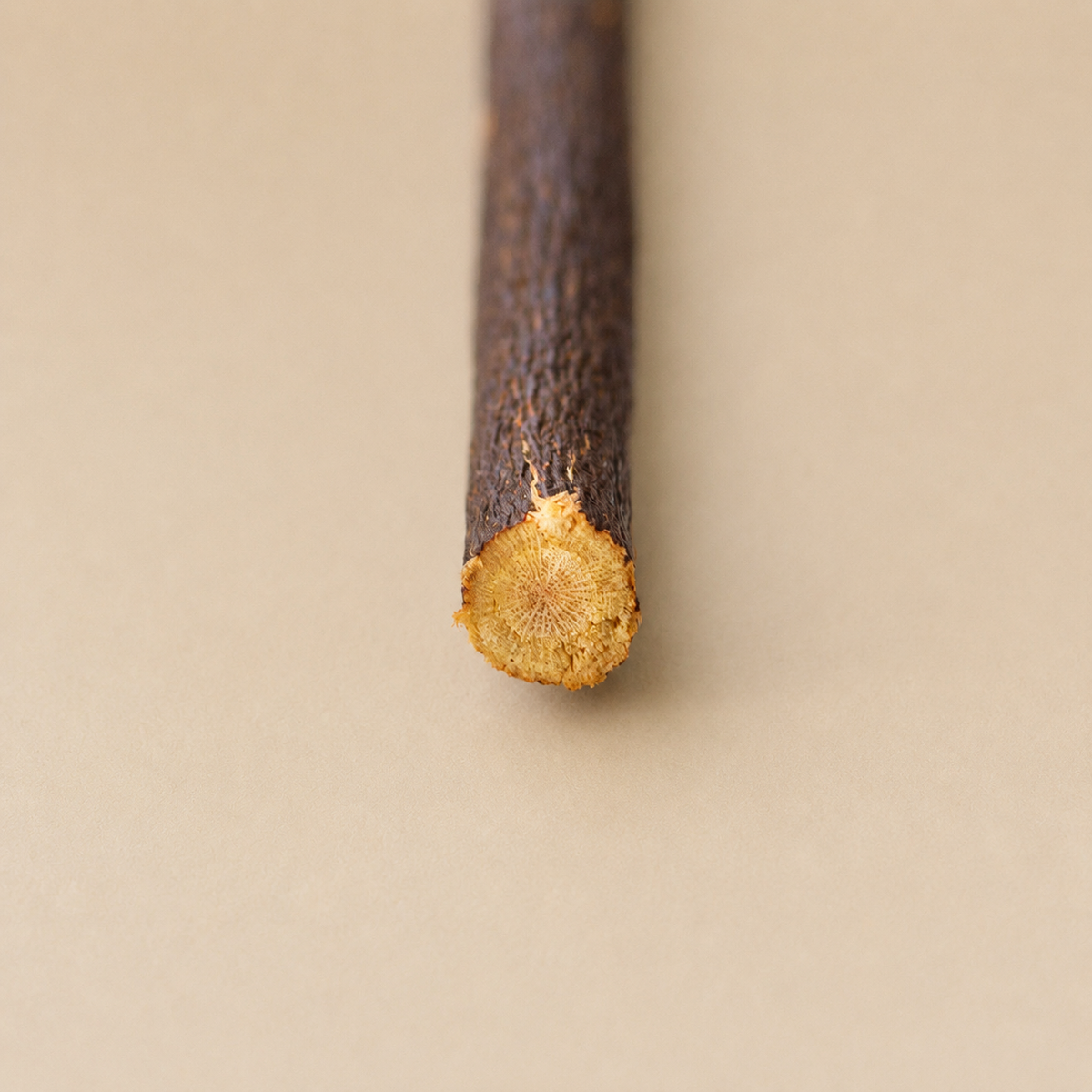 Siwak Noir - Olive Siwak with holder